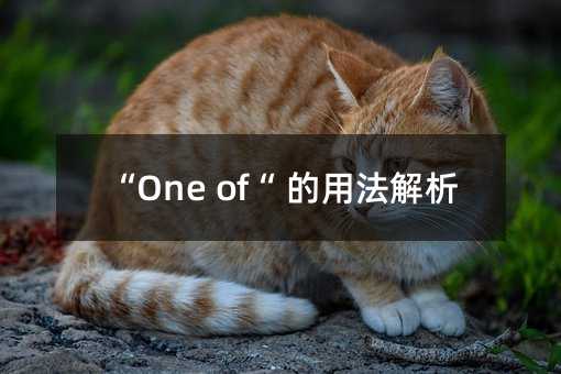“One of“ 的用法解析