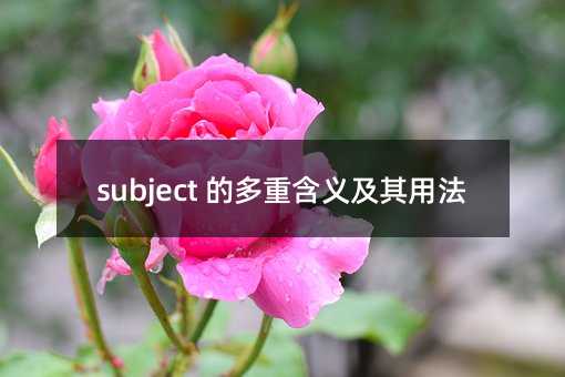 subject 的多重含义及其用法