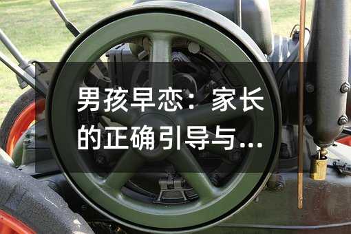 男孩早恋:家长的正确引导与支持