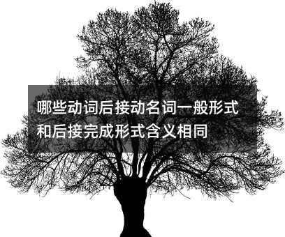 什么动词后接动名词一般形式和后接完成形式含义相同