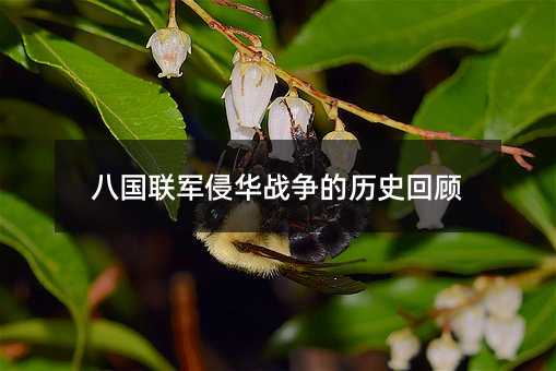 八国联军侵华战争的历史回顾