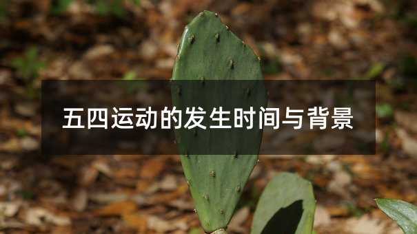 五四运动的发生时间与背景