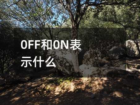 0FF��0N��ʾʲô