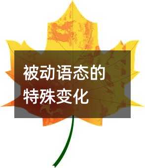 被动语态的特殊变化
