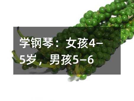 学钢琴:女孩4—5岁,男孩5—6岁