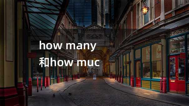 how many和how much的区别