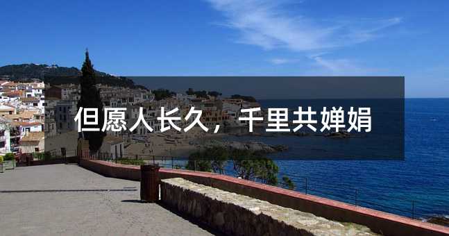 但愿人长久,千里共婵娟