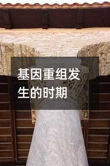 基因重组发生的时期