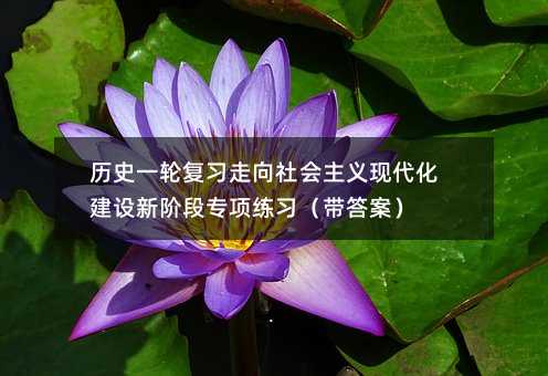 历史一轮复习走向社会主义现代化建设新阶段专项训练