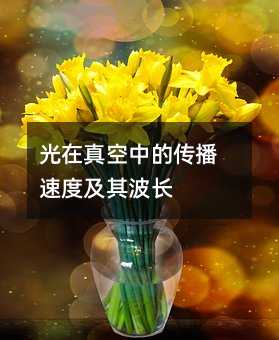 光在真空中的传播速度及其波长