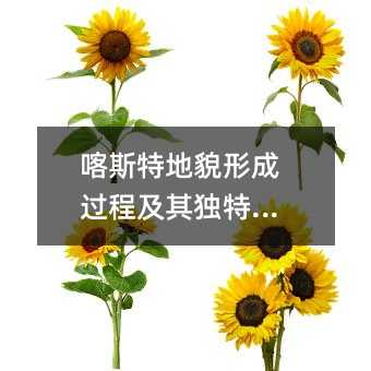喀斯特地貌形成过程及其独特魅力