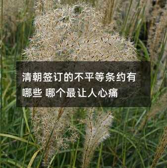 清朝签订的不平等条约有哪些 哪个最让人心痛