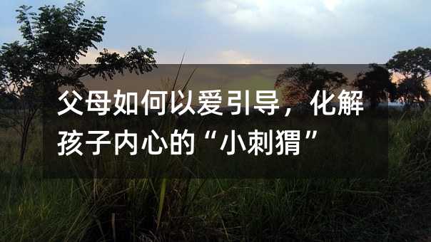 父母如何以爱引导,化解孩子内心的“小刺猬”