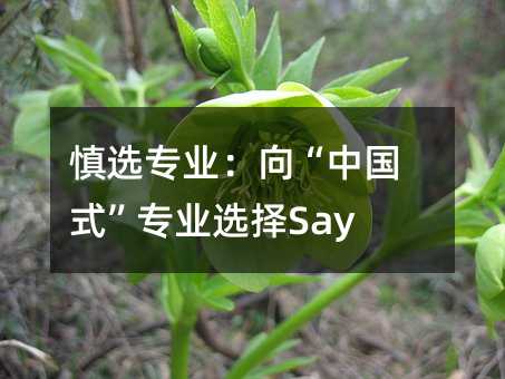 ѡרҵйʽרҵѡSay No
