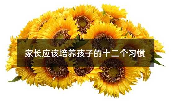 家长应该培养孩子的十二个习惯