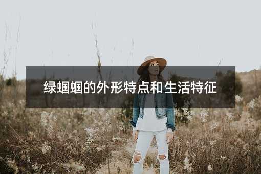 绿蝈蝈的外形特点和生活特征