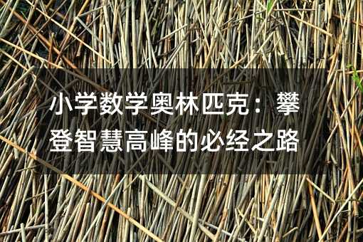 小学数学奥林匹克:攀登智慧高峰的必经之路