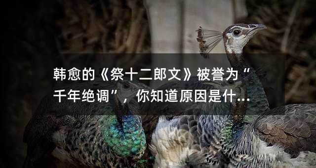 韩愈的《祭十二郎文》被誉为“千年绝调”,你知道原因是什么吗