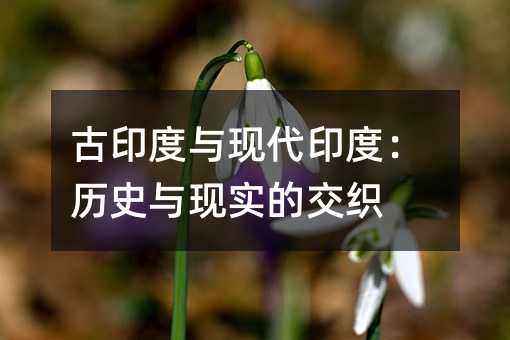 古印度与现代印度:历史与现实的交织