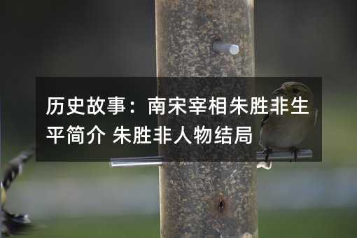 历史故事:南宋宰相朱胜非生平简介 朱胜非人物结局