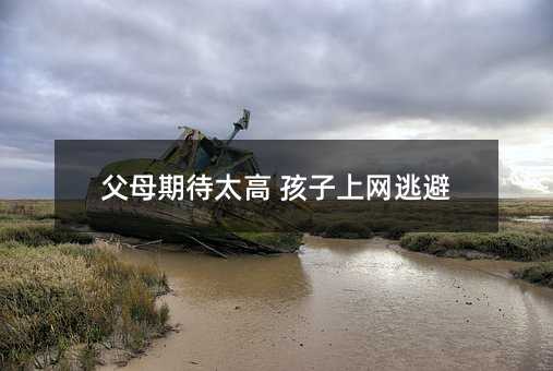 父母期待太高 孩子上网逃避