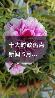 十大时政热点新闻 5月国内外大事件简短摘抄