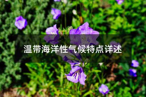 温带海洋性气候特点详述