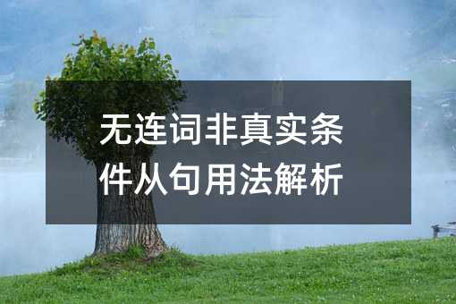 无连词非真实条件从句用法解析