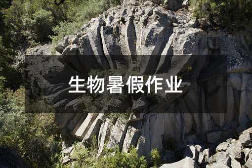 生物暑假作业