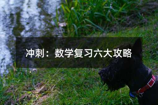冲刺:数学复习六大攻略