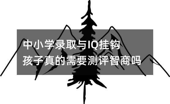 中小学录取与IQ挂钩 孩子真的需要测评智商吗?