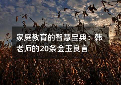 家庭教育的智慧宝典:韩老师的20条金玉良言