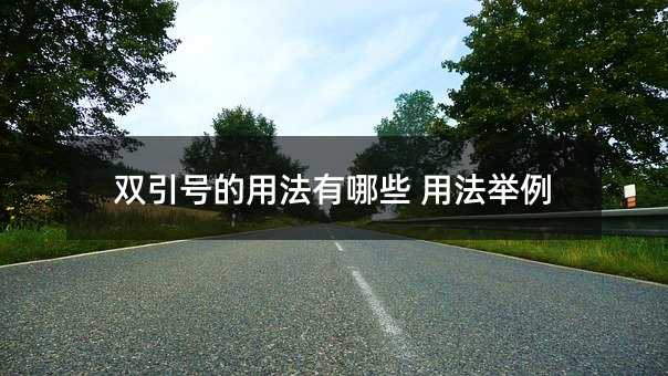 双引号的用法有哪些 用法举例