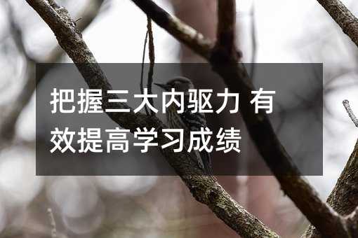 把握三大内驱力 有效提高学习成绩