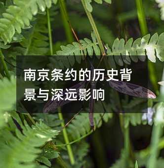 南京条约的历史背景与深远影响
