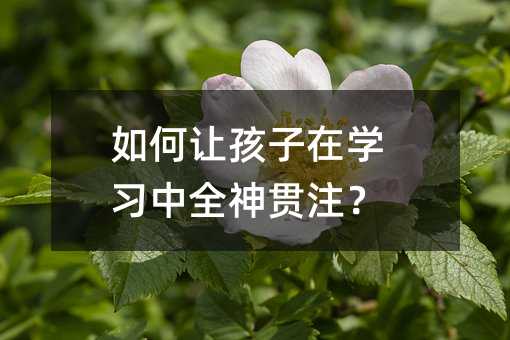 怎么样让孩子在学习中全神贯注？