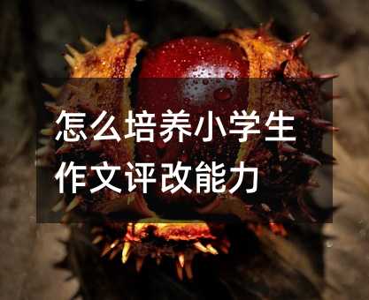 怎么培养小学生作文评改能力