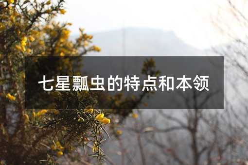 七星瓢虫的特点和本领
