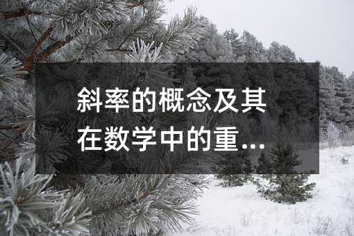 斜率的概念及其在数学中的重要性