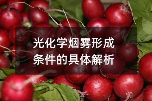 光化学烟雾形成条件的具体解析