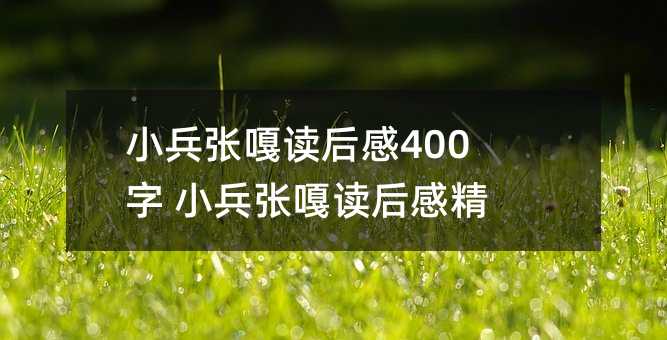 小兵张嘎读后感400字 小兵张嘎读后感精选