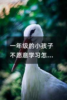 一年级的小孩子不愿意学习怎么办?