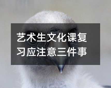 艺术生文化课复习应注意三件事