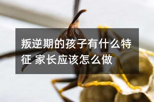 叛逆期的孩子有什么特征 家长应该怎么做