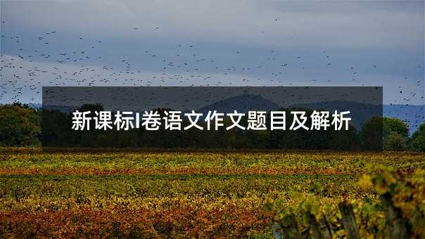 新课标I卷语文作文题目及解析