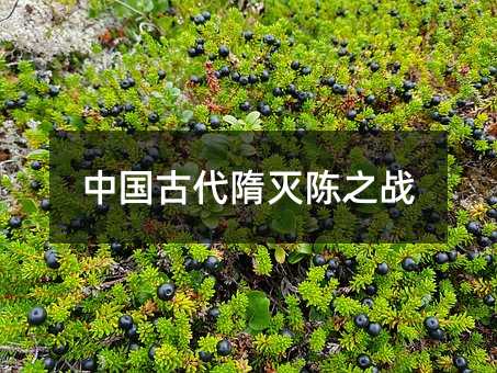 中国古代隋灭陈之战