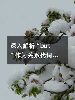 深入分析“but”作为关系代词的使用方法