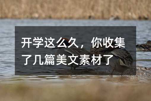 开学这么久,你收集了几篇美文素材了