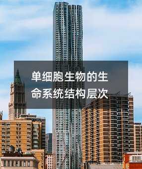 单细胞生物的生命系统结构层次
