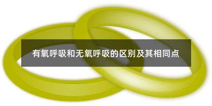 有氧呼吸和无氧呼吸的区别及其相同点
